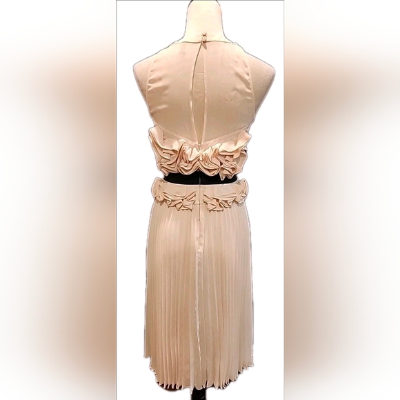 BCBGMaxAzria Cream Midi Skirt - Picture 6 of 9